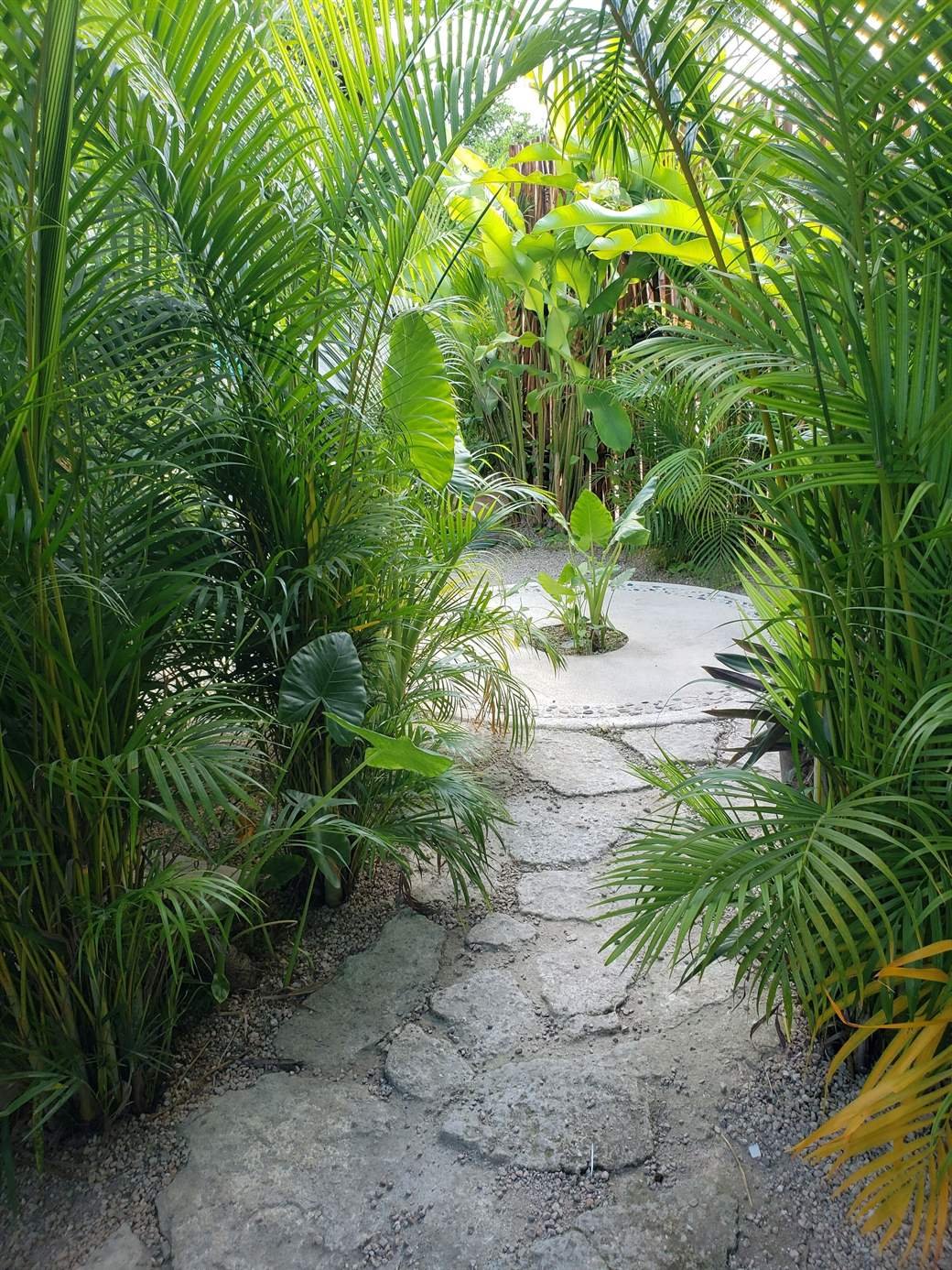 Stone path through palms and tropical plants in the hotel garden
