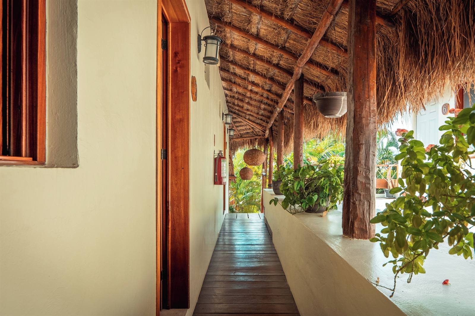 Outdoor corridor with a wooden floor, a palm-thatched roof and potted plants